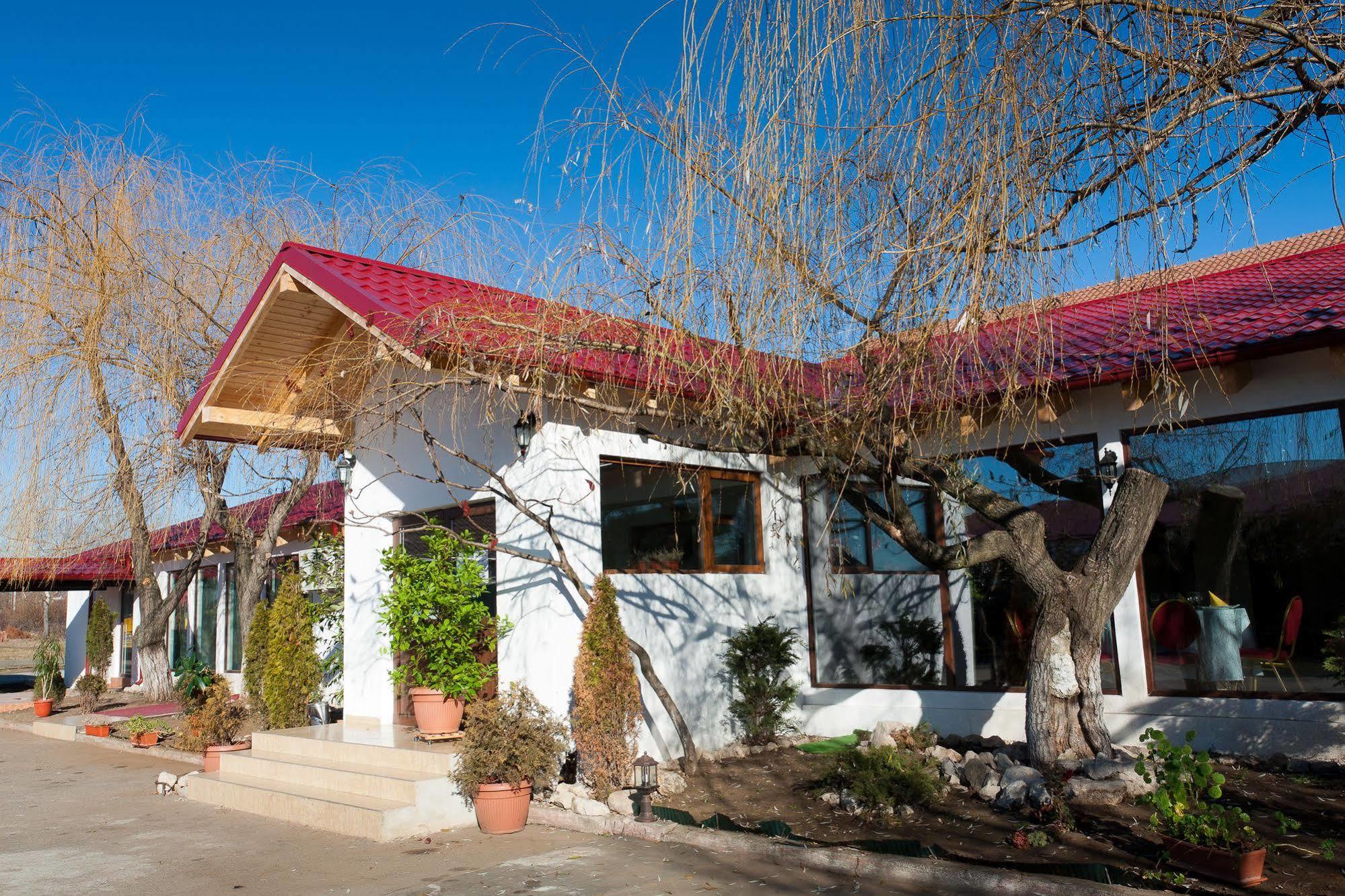 Pension Club Montana Campina Exterior photo
